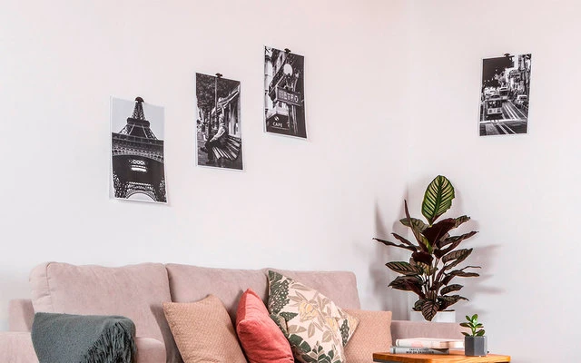 Silwy Flex Magnetic Hook Incl. Metal Nano Gel Pads 5 Cm 8 Pcs. Black 4 Silwy Flex Magnetic Hook Incl. Metal Nano Gel Pads 5 Cm 8 Pcs. Black - Image 4