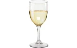 Berger Plastic Wine Drinking Glasses Set Of 2