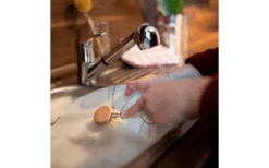 Chinchilla Change Heads 3 Pieces Of Wood Including Rinsing Brush